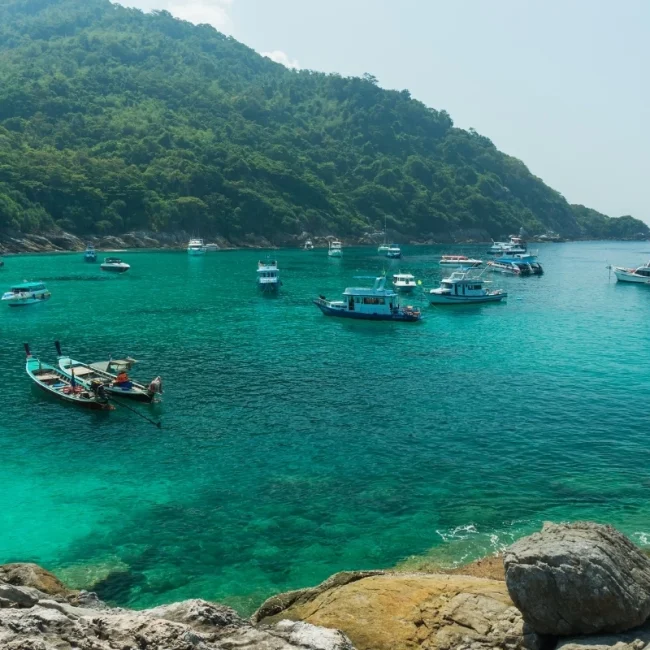เกาะราชา